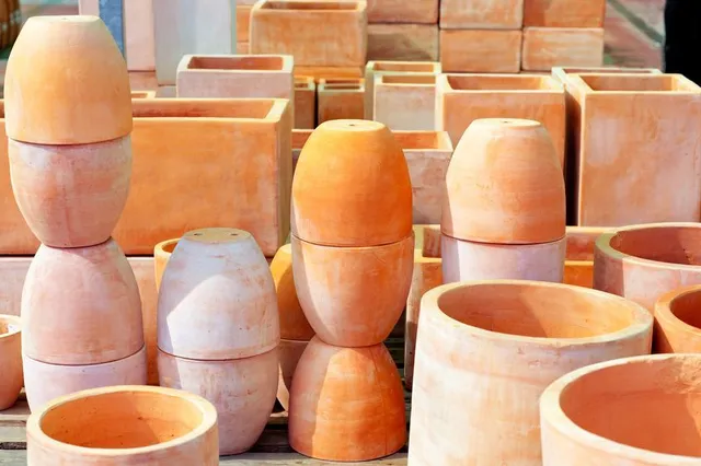 Scegli vasi preferibilmente in terracotta, della forma e dimensioni più adatte.
