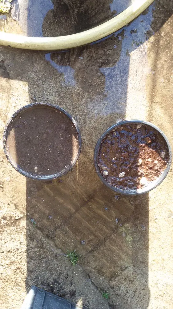 a sinistra un vaso rimpito di argilla, a destra uno riempito di terriccio che drena meglio e più velocemente
